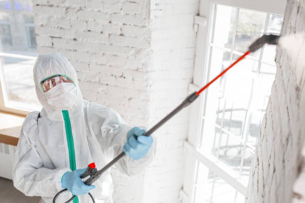 Best Mold Removal for HVAC Installations  in Mount Healthy Heights, OH