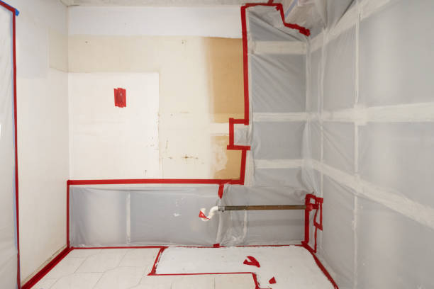 Best Dehumidification Services  in Mount Healthy Heights, OH